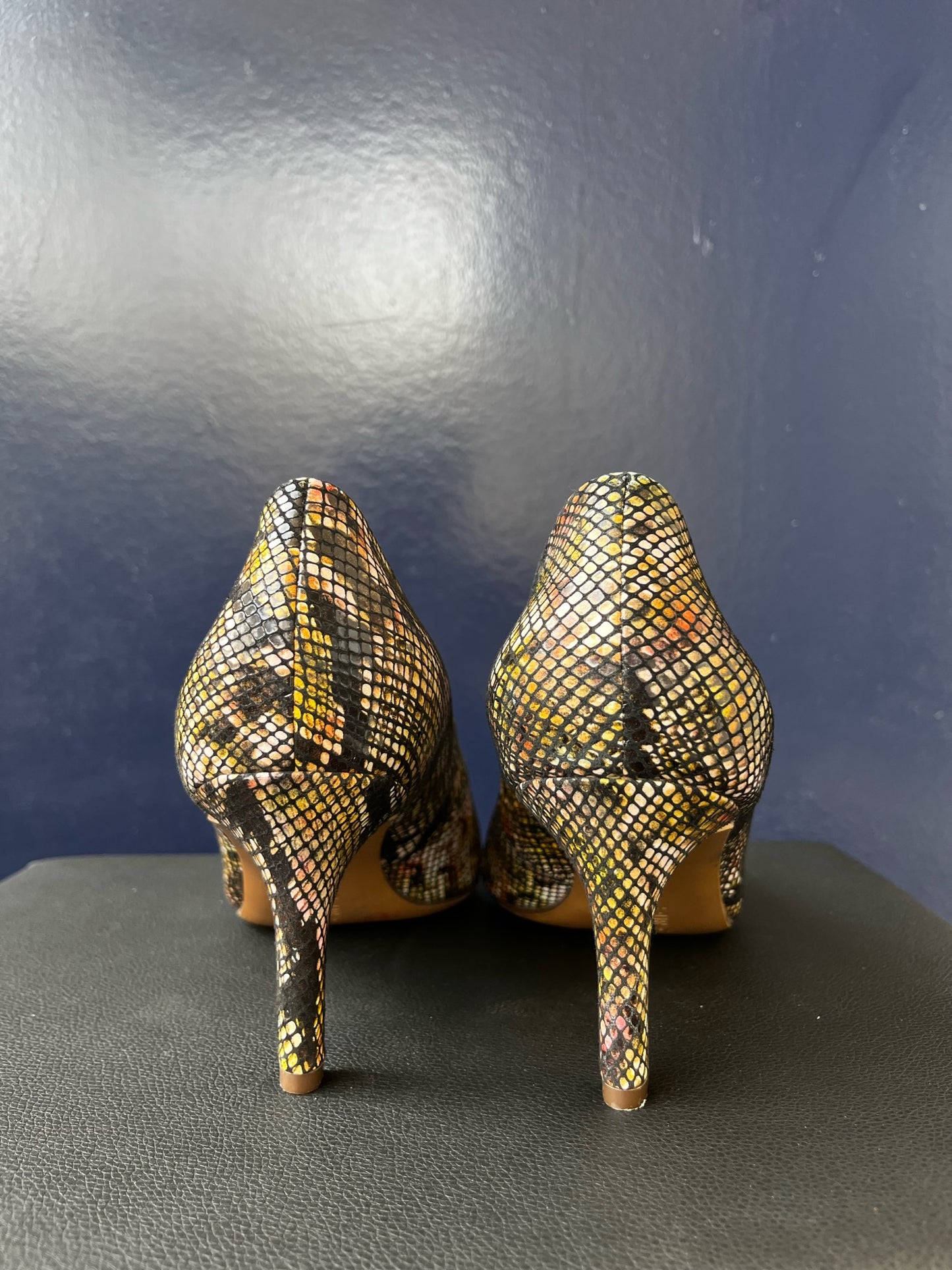 Alligator Mulitcolor Heel