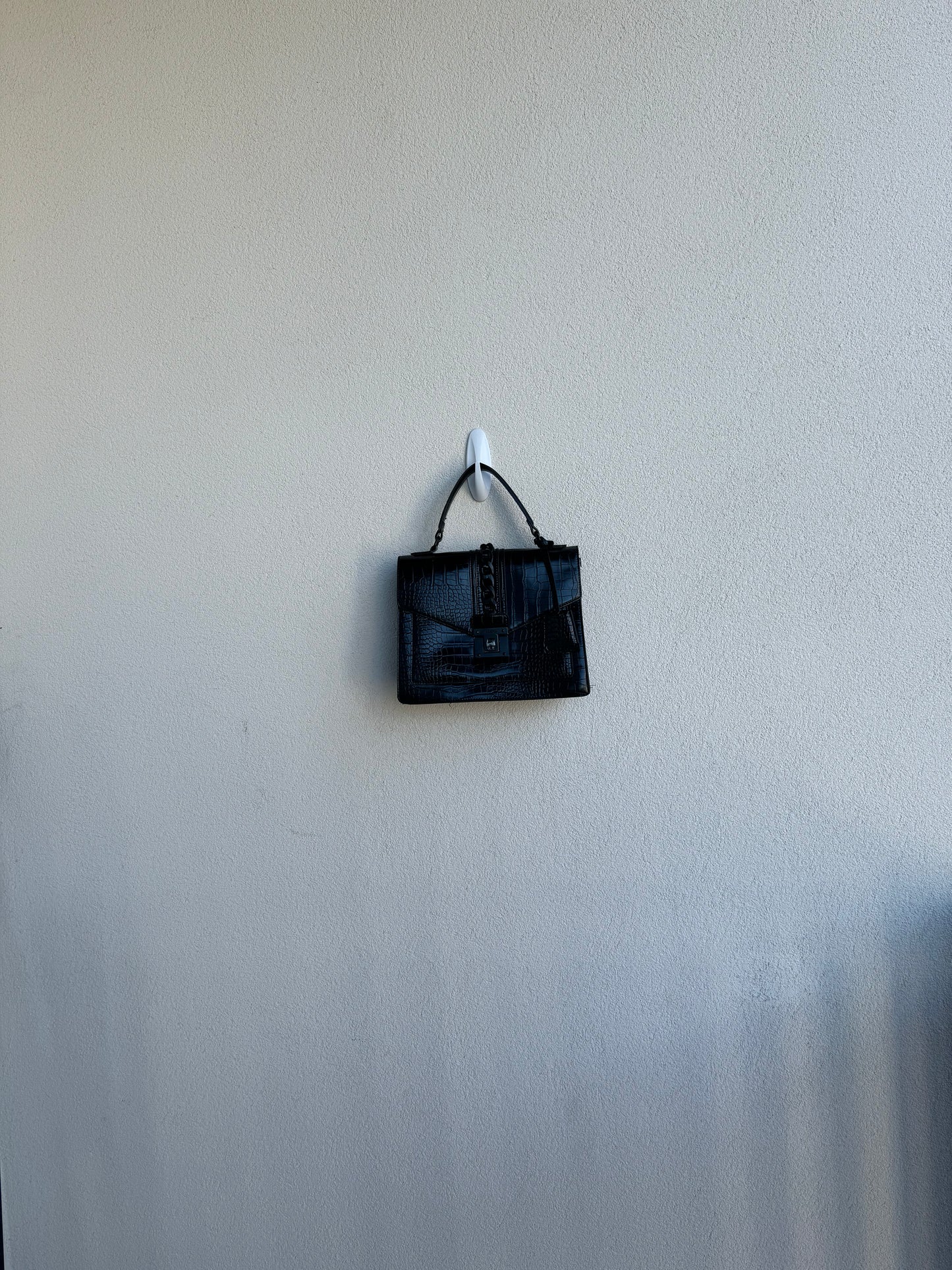 Aldo Snakeskin Box Purse
