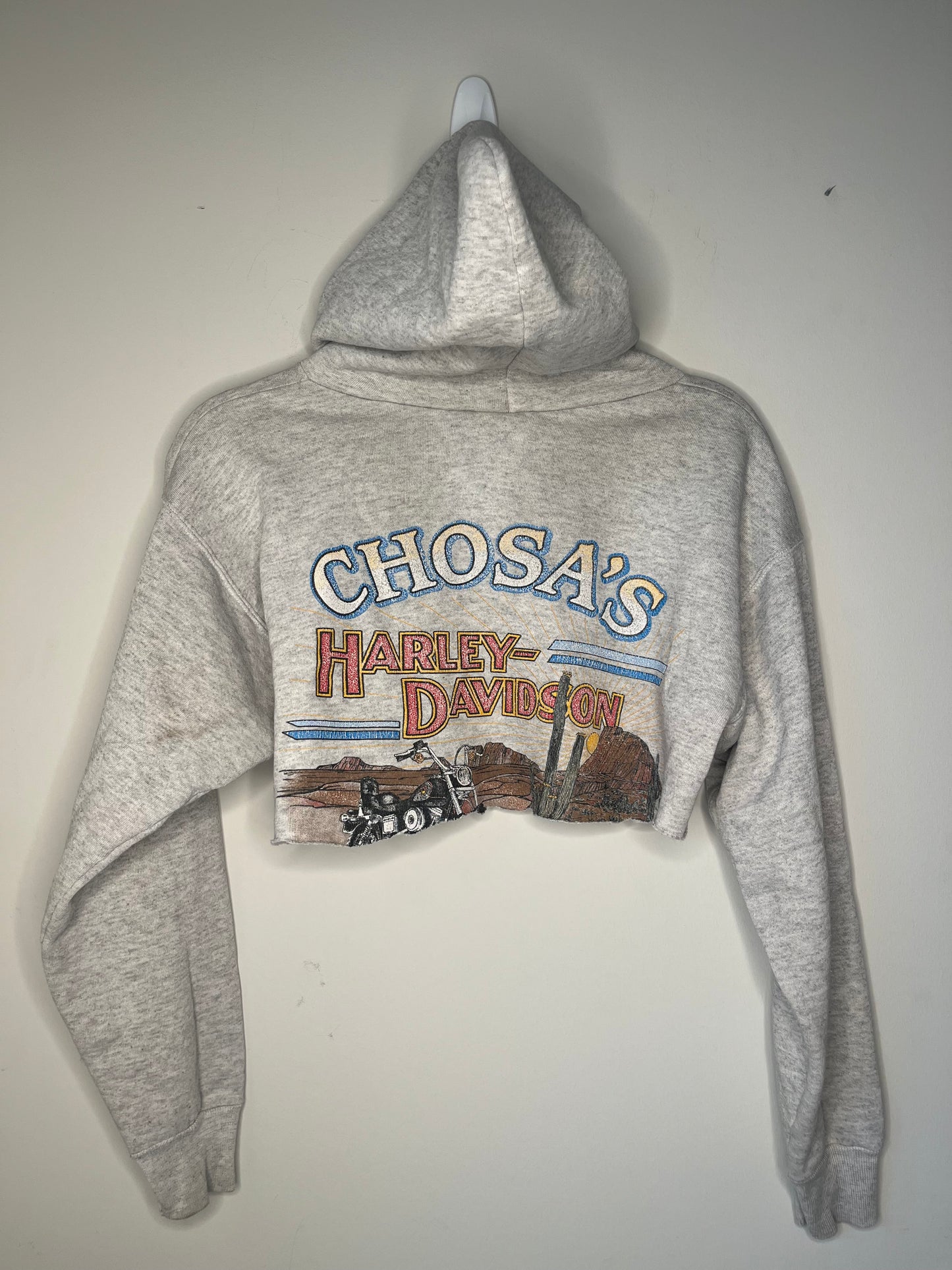 Harley Davidson Cropped Hoodie